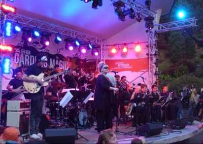 Rodger Fox Gardens Magic 2013 — Peak Audio stage hire
