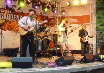 Shenanigans Gardens Magic 2012 — Peak Audio stage hire