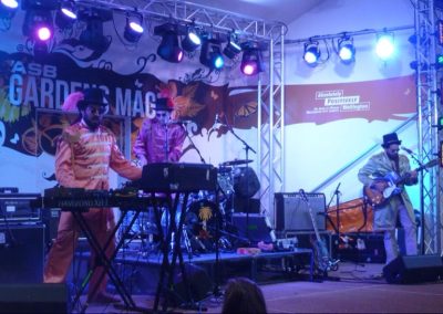 The Nudge Gardens Magic 2013 — Peak Audio stage hire