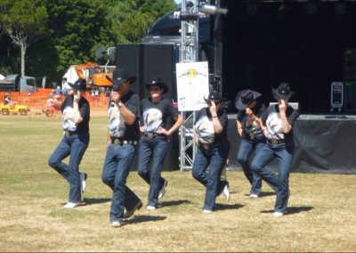 Upper Hutt Summer Carnival 2013 — Peak Audio stage hire